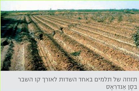 תזוזה של תלמים באחד השדות לאורך קו השבר בסן אנדראס